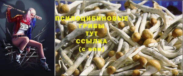 a pvp Волосово