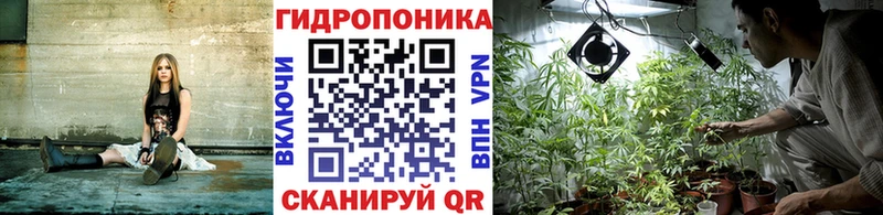 Марихуана сатива  Заречный 